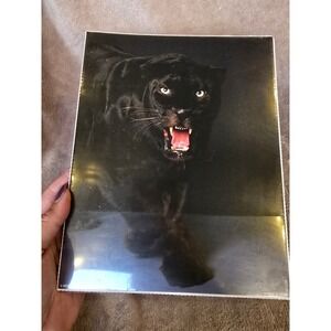 Vintage 1987 Impact Black Panther Art Print Snarling Big Cat 8x10 Wall Decor